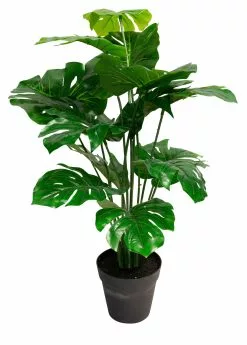 NORDIC DECO Monsteraplante I Potte