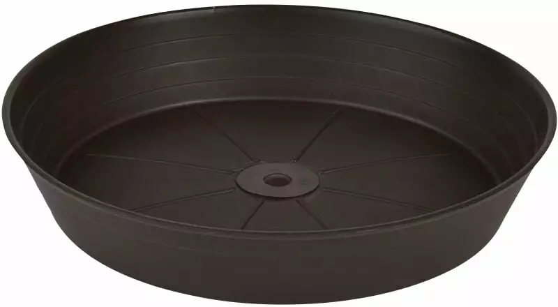 Odle Underskål 1 Odle Underskål