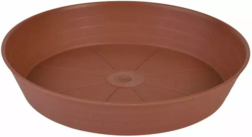 Odle Underskål 1 Odle Underskål